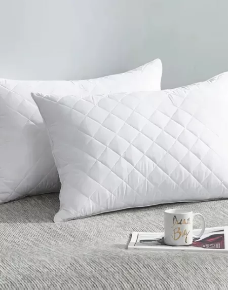 Bedbric Pillows 2 Pack Hotel Quality